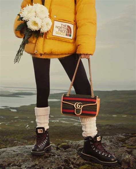 the north face gucci campaign|north face gucci for sale.